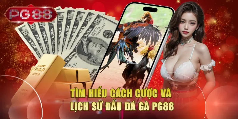 Tìm hiểu cách cược và lịch sử đấu đá gà PG88